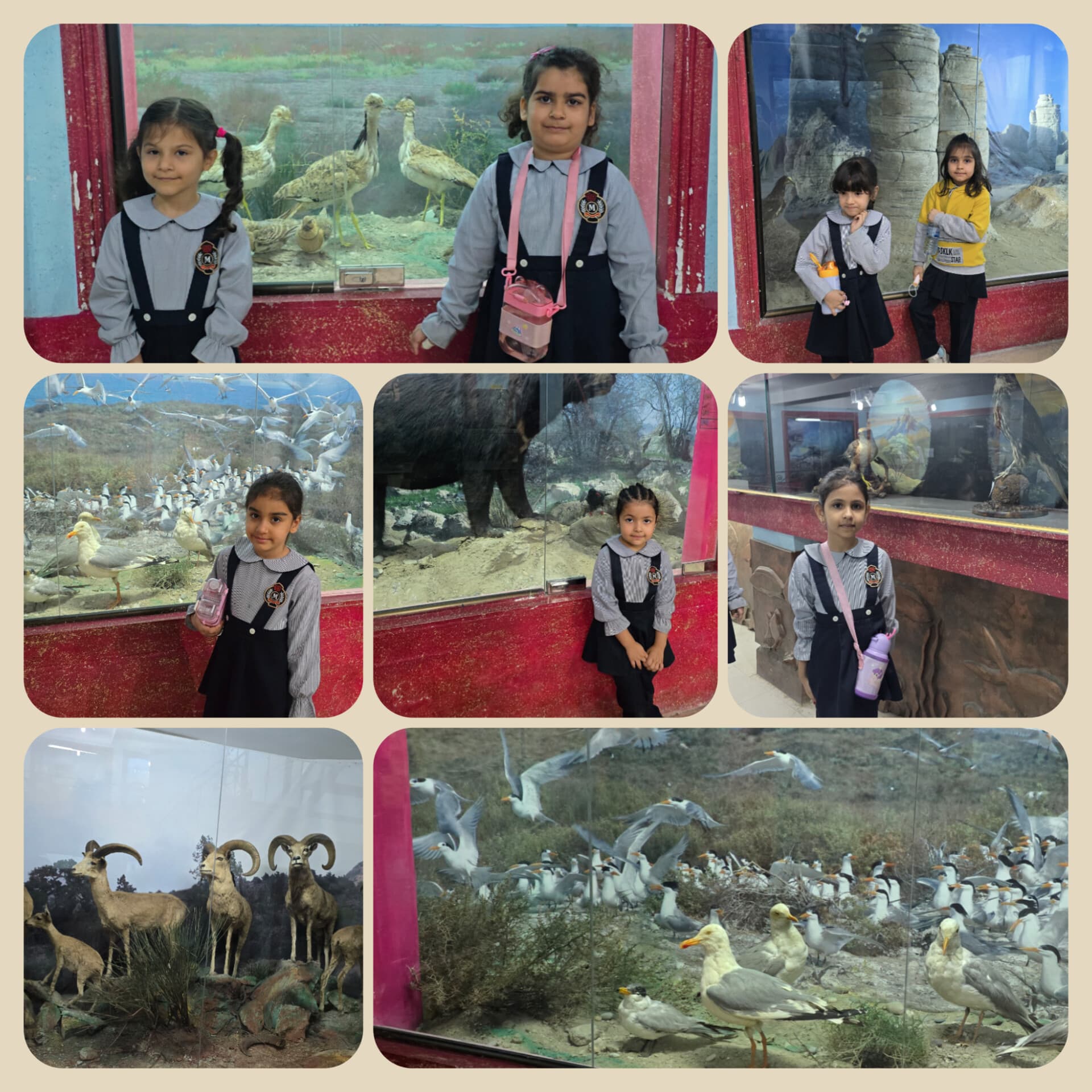 اردوی حیات وحش
